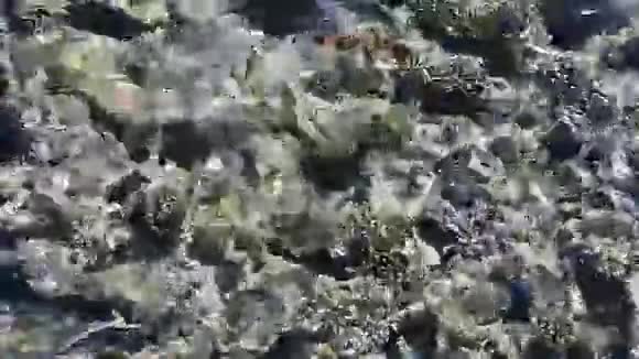 在红海喂鱼色彩斑斓的鱼在珊瑚附近游动视频的预览图