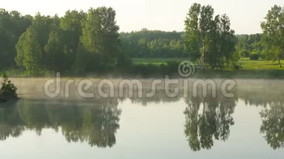 在森林湖美丽的清晨视频的预览图
