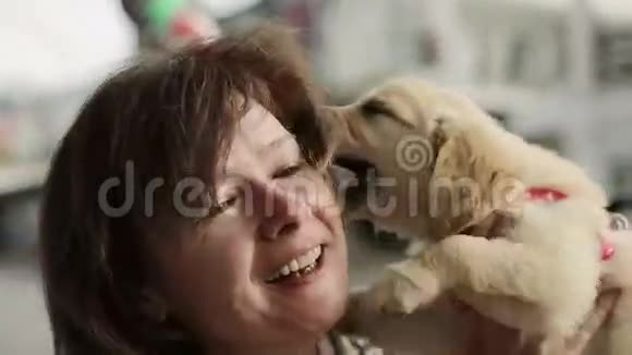 老年妇女玩小狗金毛猎犬视频的预览图