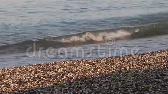 海浪克里米亚海晴朗天气下的高浪暴风雨警报干净的海滩沙滩和贝壳视频的预览图