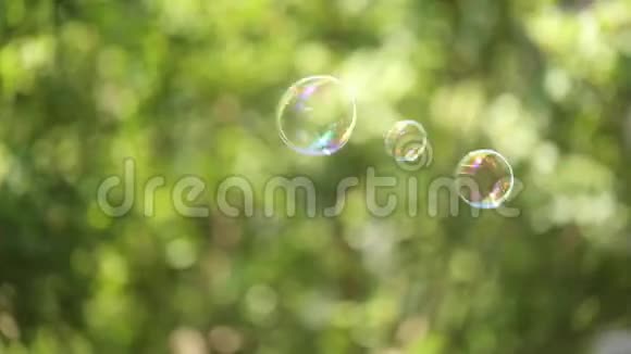 大的肥皂泡漂浮视频的预览图