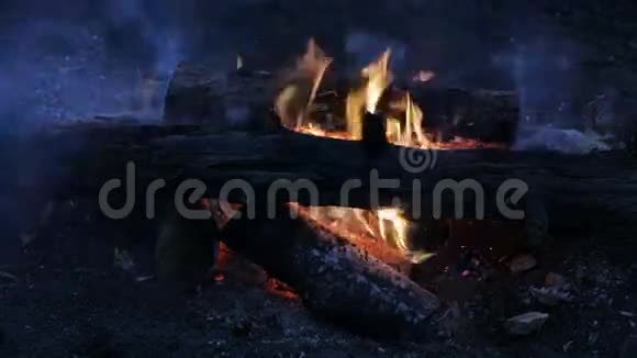 死亡森林的夜间篝火录像视频的预览图