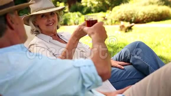 坐在躺椅上喝酒的退休夫妇视频的预览图