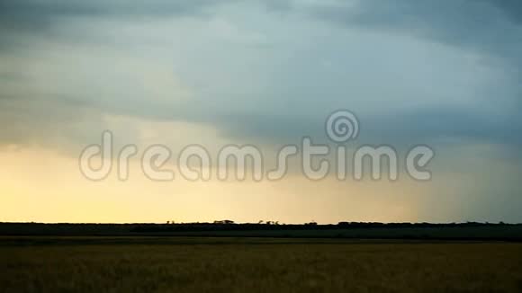 暴风雨的云彩是灰蓝色的覆盖着谷物小麦黄昏的时候日落的时候黑暗的夏天滑了下来视频的预览图