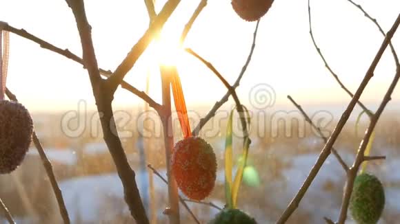 春天的日出突破了装饰树枝上面挂着五颜六色的复活节彩蛋视频的预览图