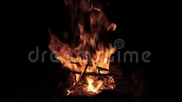 篝火在美丽的河滩上燃烧着明亮的夜晚视频的预览图
