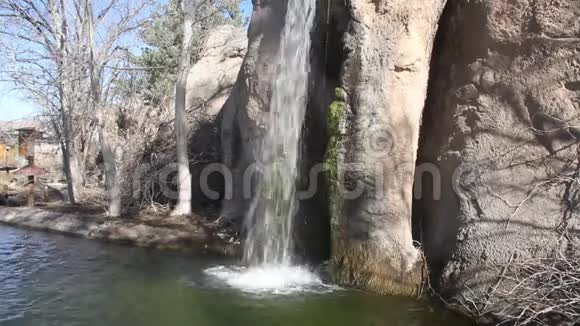 新墨西哥州阿尔伯克基动物园视频的预览图