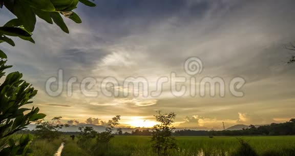 云在暮色中天空在稻田上视频的预览图
