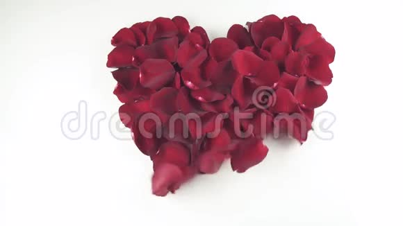 红玫瑰花瓣的心形在白色背景下被风吹散慢动作的股票录像视频的预览图