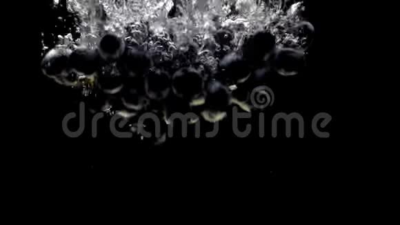 蓝葡萄在黑色背景上落入透明水中的枝视频的预览图