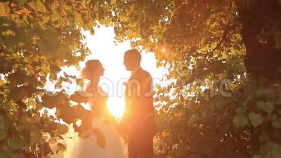 浪漫的新婚新娘和新郎在夕阳下美丽的绿色公园里分享亲吻视频的预览图