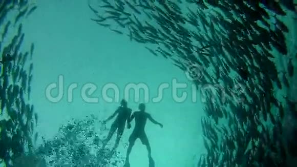 印尼巴厘岛图伦本杰克鱼群中游泳的人视频的预览图