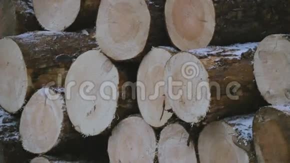 松林中冬季暴风雪飘落的雪中掉落的树干木头折叠在松树下好极了视频的预览图