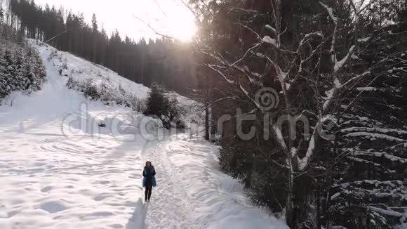 年轻漂亮的女孩走在白雪皑皑的冬林里她快乐而平静女孩看着两边太阳是视频的预览图