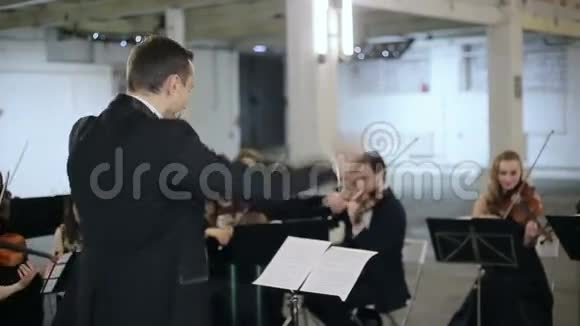乐团指挥交响乐演奏乐器视频的预览图