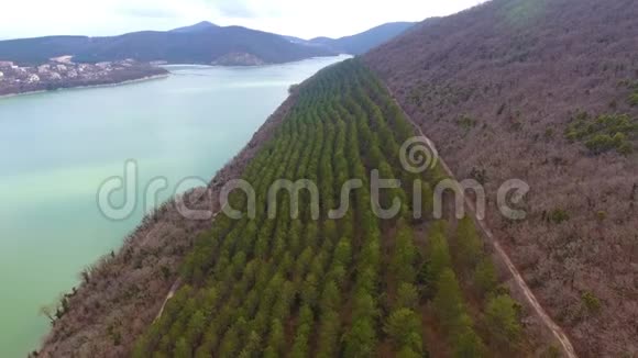 山湖和森林的鸟瞰图视频的预览图
