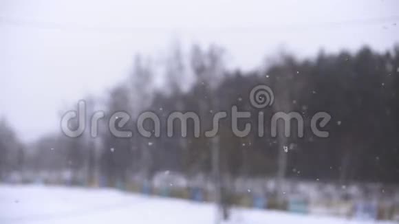 雪飘落的雪花有选择性的聚焦冬季设计理念视频的预览图