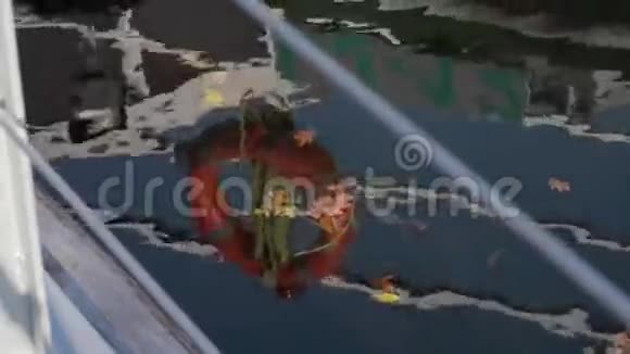 漂浮在水中的叶子视频的预览图