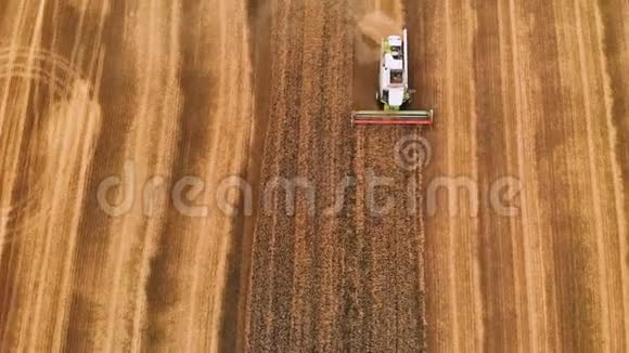 鸟瞰4k分辨率现代联合收割机收集成熟的小麦留下一片麦田里的尘埃视频的预览图