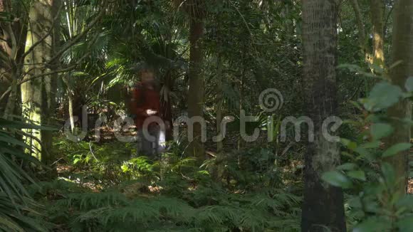 人类徒步旅行探索丛林雨前使用罗盘导航定向视频的预览图