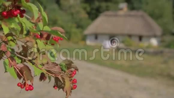 旧房子背景上的浆果视频的预览图