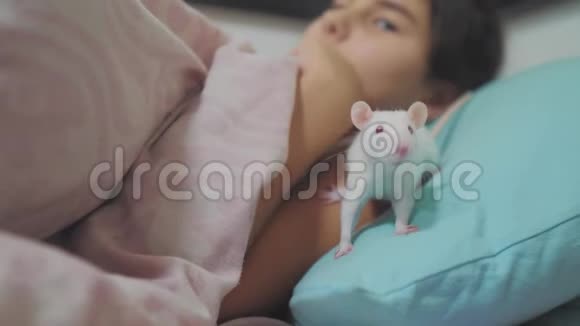 小女孩在床上和一只白色的自制老鼠玩耍有趣的视频老鼠爬过视频的预览图