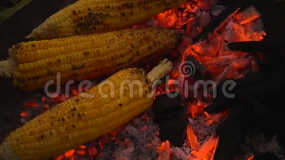 热炉上烤玉米视频的预览图