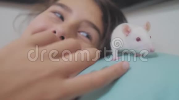 小女孩和一只白色自制的老鼠在床上玩耍有趣的视频老鼠爬过生活方式视频的预览图