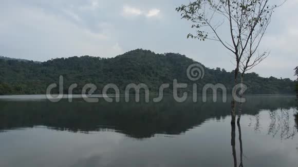 以山地为背景的湖泊中树木景观及水面倒影视频的预览图