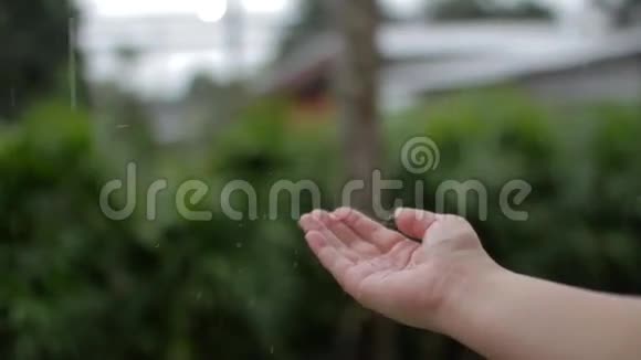 雨点落在女人手视频的预览图