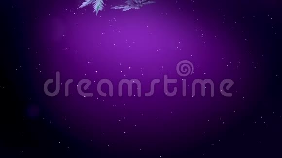 美丽的3d雪花在空气中漂浮在紫色的背景下夜间缓慢运动作为圣诞动画使用新年视频的预览图
