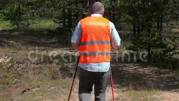夏天在森林路上用手杖徒步旅行者视频的预览图