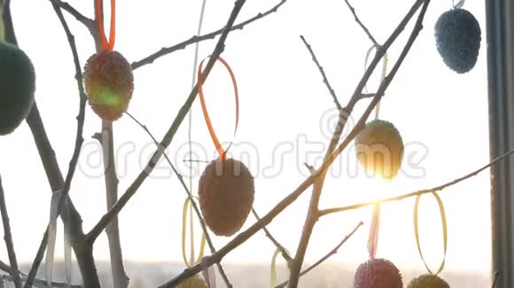 春天的日出突破了装饰树枝上面挂着五颜六色的复活节彩蛋视频的预览图