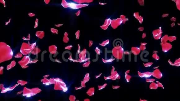 落在黑色上的玫瑰花瓣x28循环x29视频的预览图