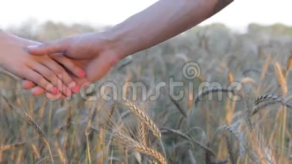 男人和女人在草地麦田牵手恋爱关系视频的预览图