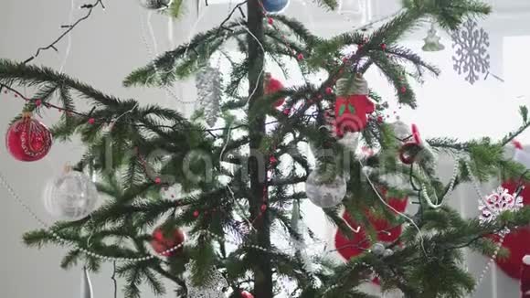 窗前装饰着时髦的圣诞树慢动作3840x2160视频的预览图