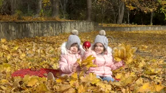 秋天一对双胞胎在公园里玩黄叶视频的预览图