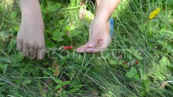 手野莓秋千视频的预览图