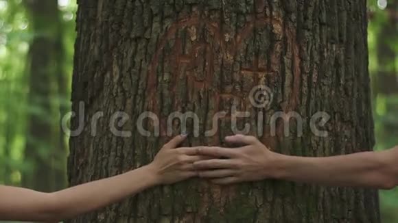 温柔的爱的时刻在一棵树上刻着一颗心的背景上亲密地牵着年轻的恋人的手视频的预览图