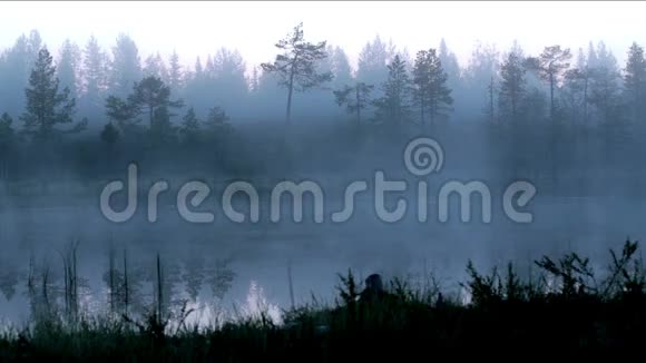 芬兰的薄雾湖森林视频的预览图