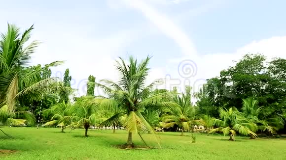 美丽的花园全景拍摄视频的预览图