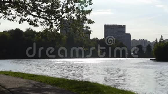 湖在城市的夏天穿过绿色视频的预览图