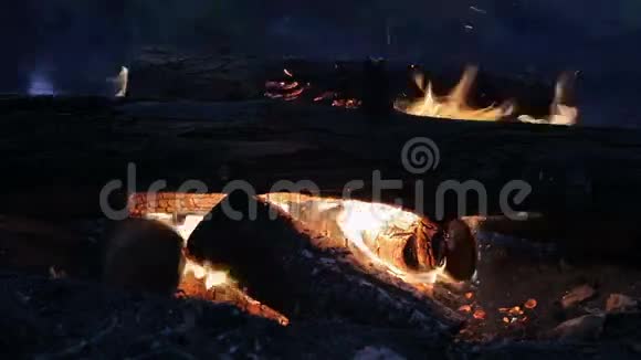 死亡森林的夜间篝火录像视频的预览图