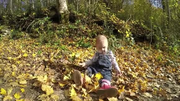 小女孩在秋天的公园里玩全高清视频的预览图