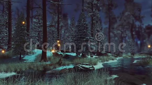 雾蒙蒙的黄昏冬季森林中的神奇萤火虫灯视频的预览图