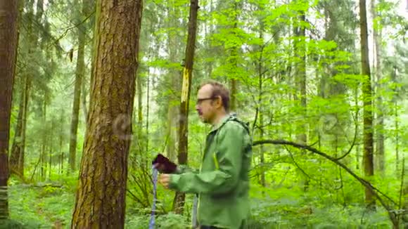 在森林里测量树干的生态学家视频的预览图