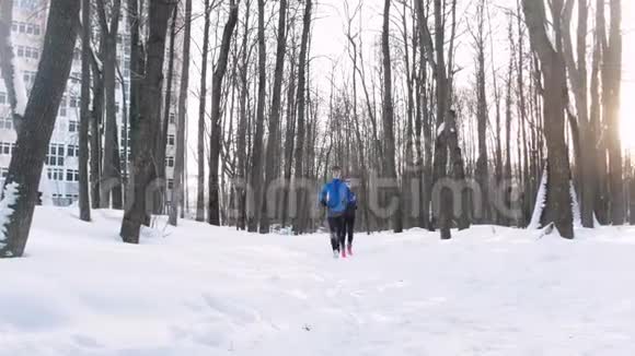 冬季森林年轻人和女人在晨间公园跑步视频的预览图