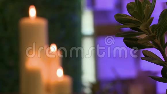 绿色植物的特写和点燃的蜡烛视频的预览图
