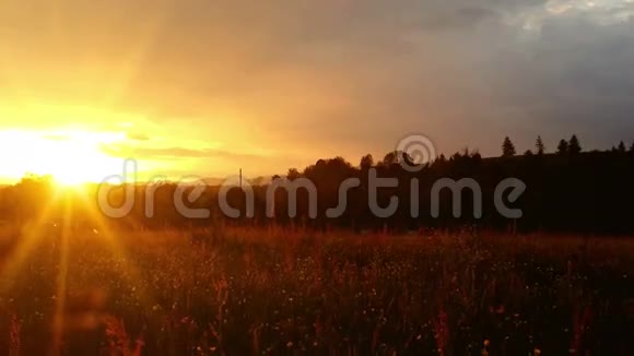乡村绿色草地上神奇的日落放大视频的预览图