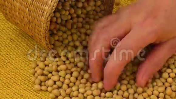 黄豆手工制作种子食品原料美味佳肴黄豆视频的预览图